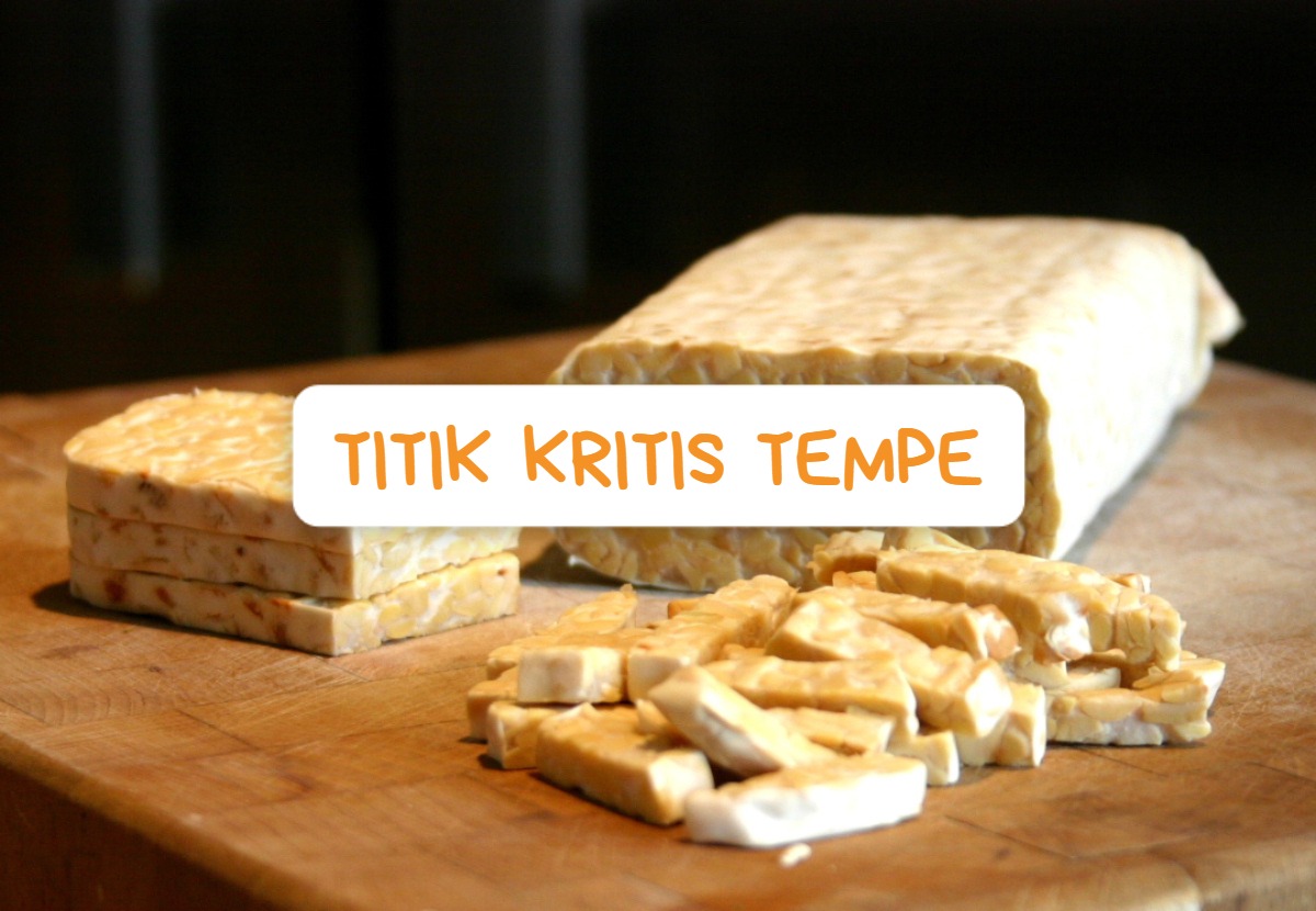 Titik Kritis Halal Produk Tempe, Fermentasi Tradisional yang Tetap Perlu Diperhatikan