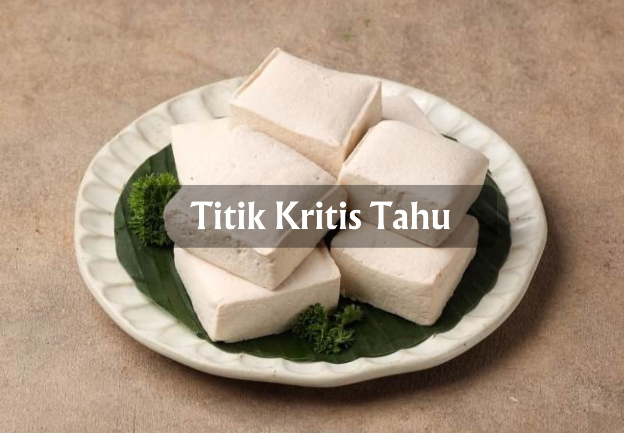 Titik Kritis Halal Produk Tahu, Sederhana Bahannya Namun Tetap Perlu Diawasi